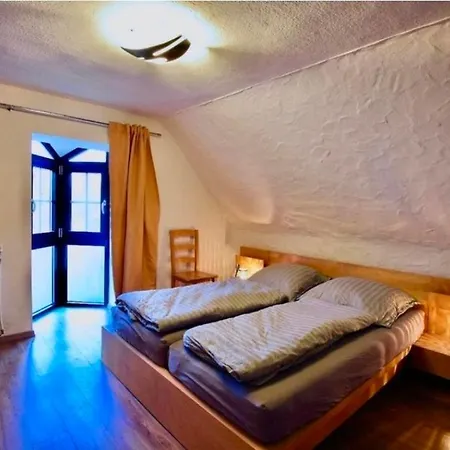 Eifel Nationalpark Sonnenterrasse & Kamin Lejlighed *