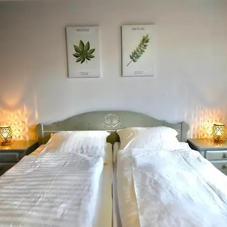 Eifel Nationalpark Sonnenterrasse & Kamin