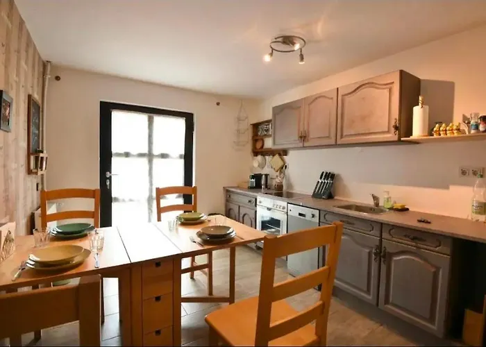 Eifel Nationalpark Sonnenterrasse & Kamin Lejlighed *